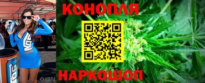 прущие крисы Изобильный